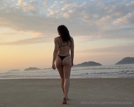 Nefescarela perfekte pornografische archiv