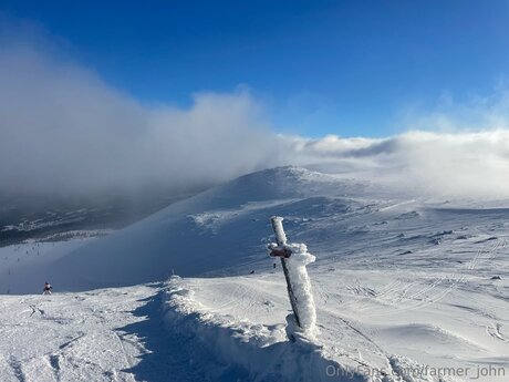 Farmer John model galerie