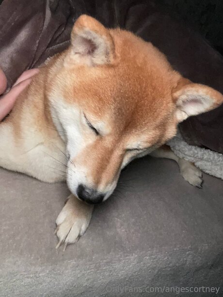 Angescortney porno beste foto