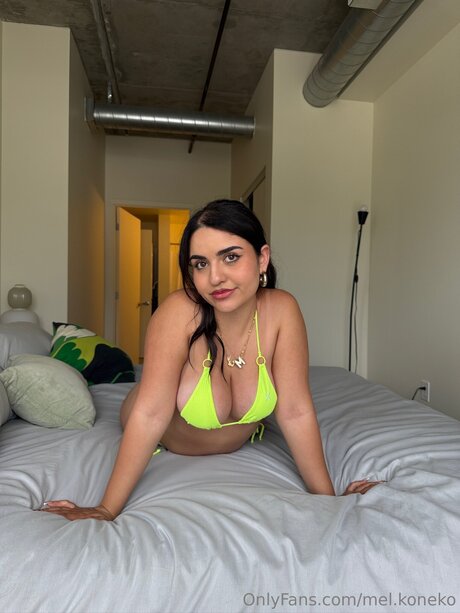 bbw trans onlyfans hübsche nacktheit galerie