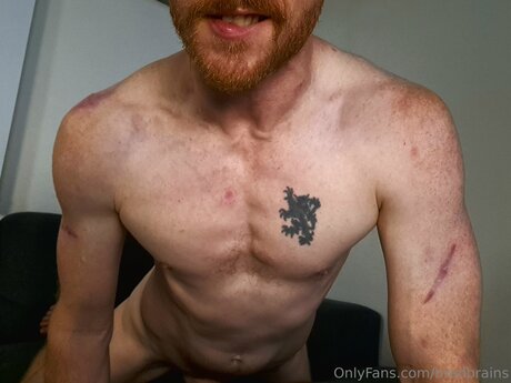 Bradbrains kostenlose akt foto