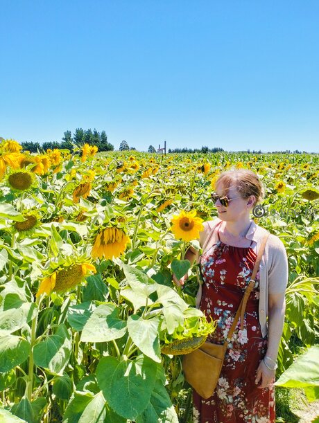 Jo Vee Nz hübsche nette galerien