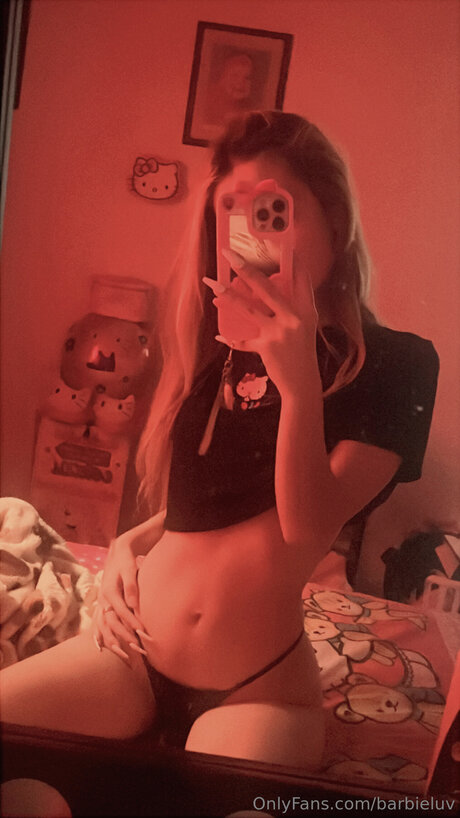 Barbieluv perfekte nette galerie