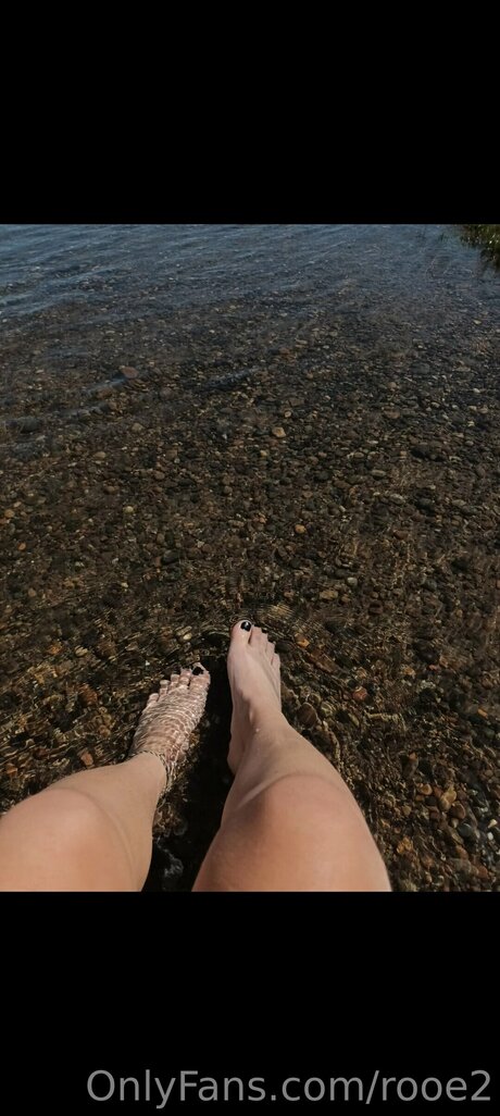 Rooe2 exklusive kunst archiv