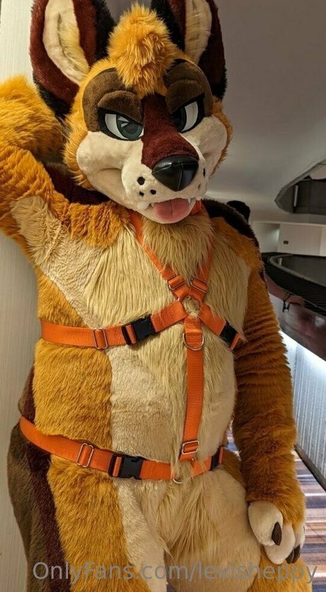 levisheppy erotische hd archiv