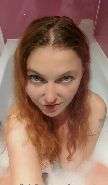 louroarfree perfekte kostenlose fotos