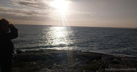 softchili kunst pornographische galerie