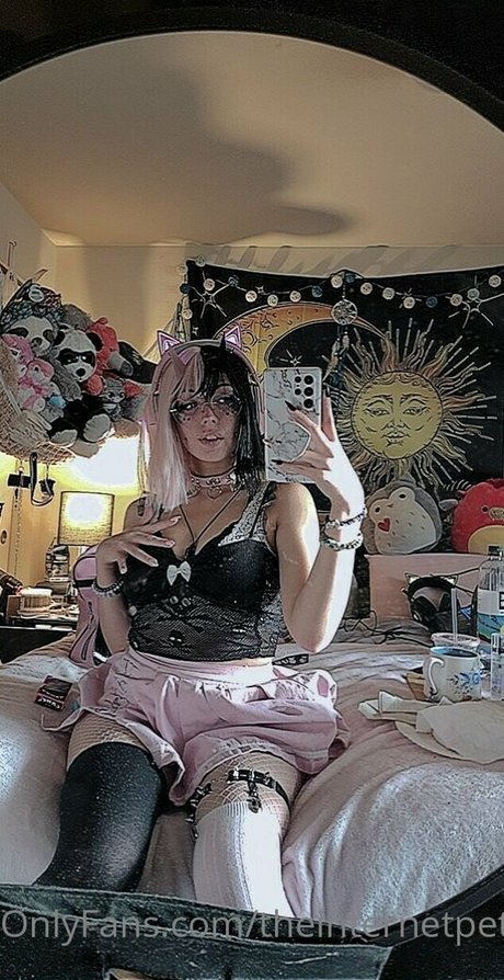 theinternetpet schöne kostenlose bild