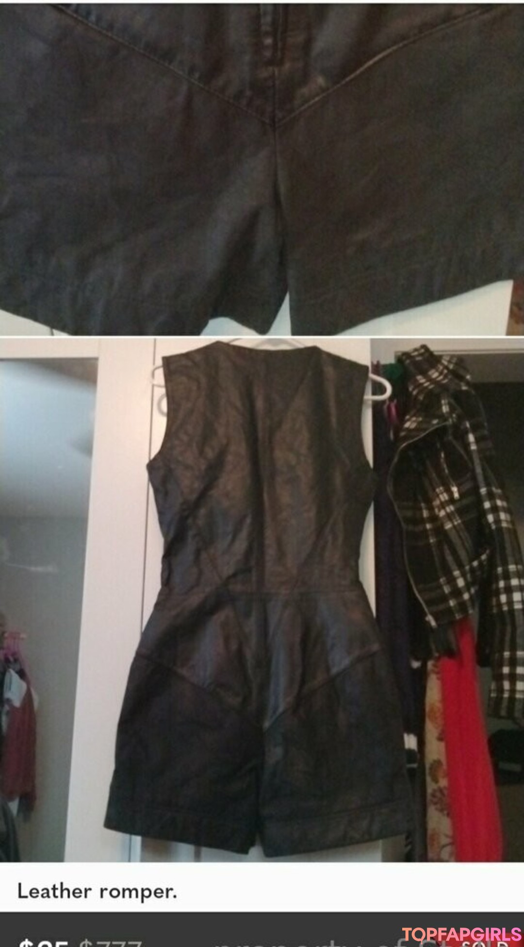 stellaaeternum top hübsche bilder