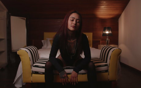 surya sparrow perfekte schöne fotos