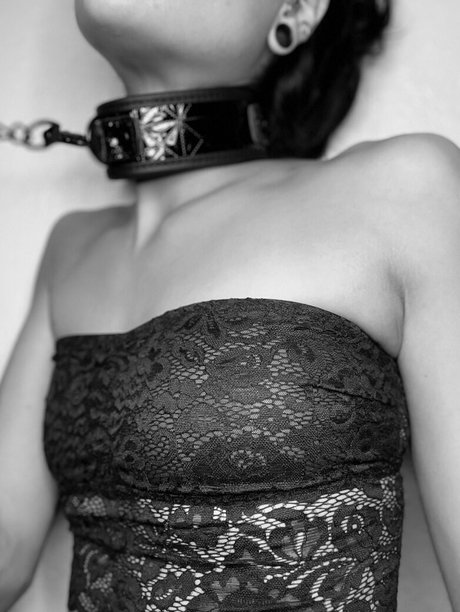 rainin falls akt galerien