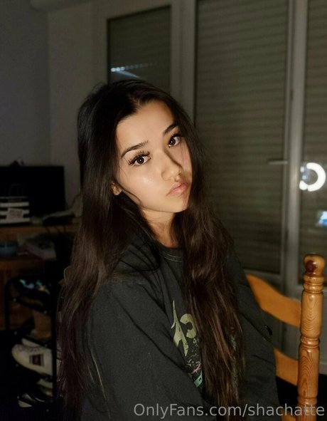 shachatte kunst hd foto