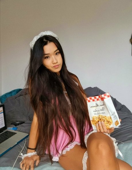 shachatte top freie foto