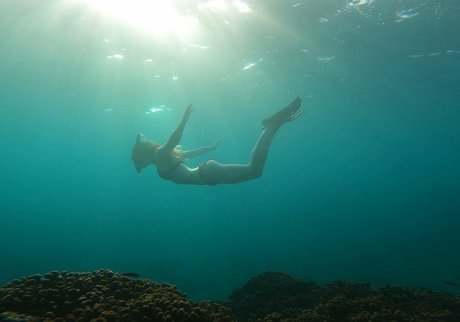 Lily Sheen freie nette bild