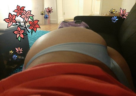 Anita Haadik sexy pornostar galerien