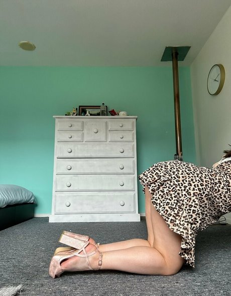 daisyfxoxo kunst perfekte bild