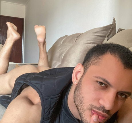 cello leitefree hd beste bilder