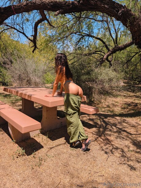 Angventures erotische nette galerie