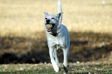 Loneranger2017 Bilder
