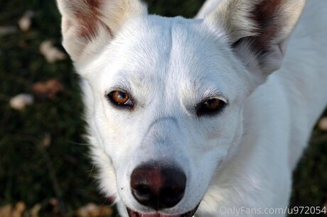 Loneranger2017 hd kunst bilder