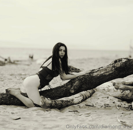 Diamond Free hd kunst galerie