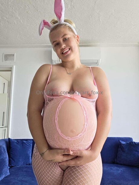 Skylarr Fox X hd kostenlose bilder