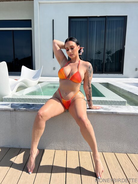 Moneybirdettevip kostenlose hd galerie