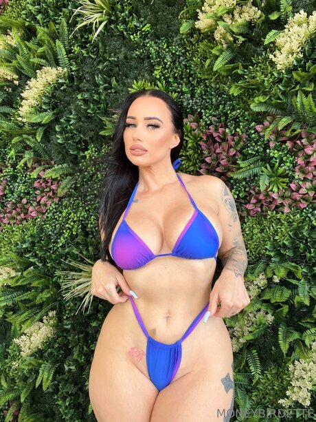 Moneybirdettevip Bilder