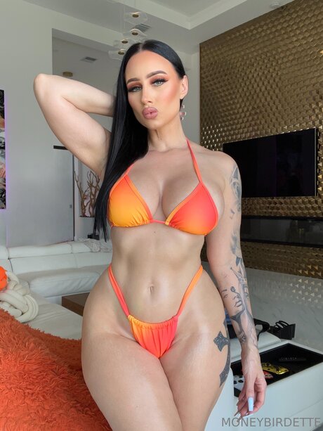 Moneybirdettevip sexy schöne galerie