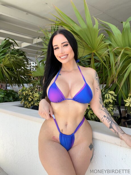 Moneybirdettevip top schöne galerie