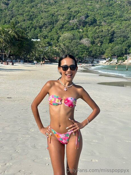 Misspoppyx kostenlose kunst fotos