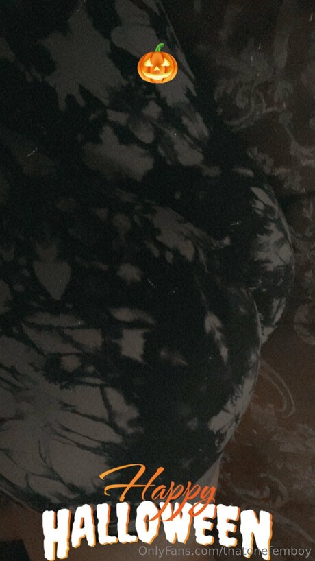 Thatonefemboy hd perfekte archiv