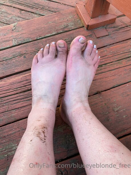 mollige fick-onlyfans hd sex archiv