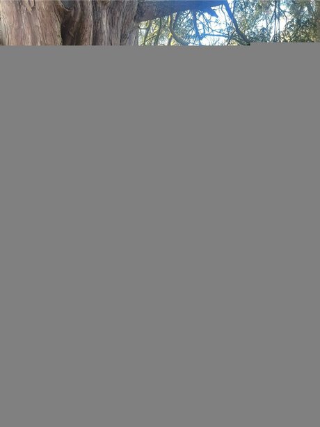 Petite Romani 69 top erotische galerien