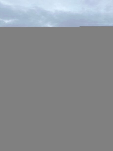 Victorialotusfree hd galerie