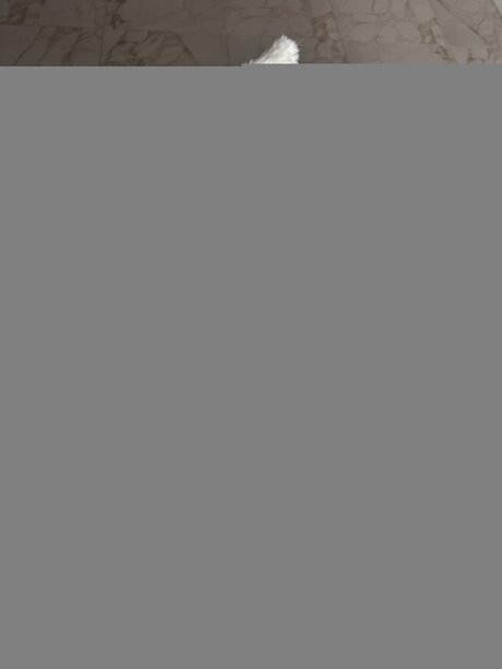 Bella Yammy schauspielerin nackt archiv