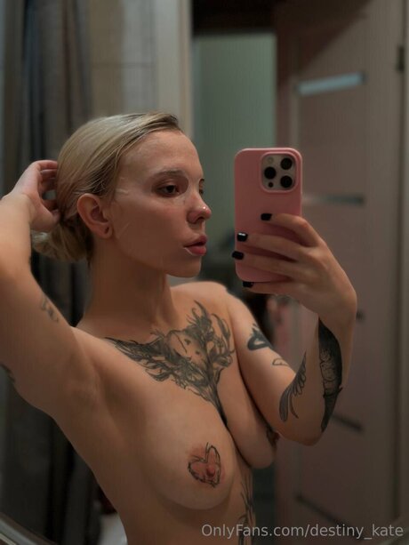 Destiny Kate sexy kunst galerie