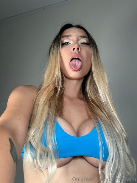 Dezzywaifu kunst perfekte galerien