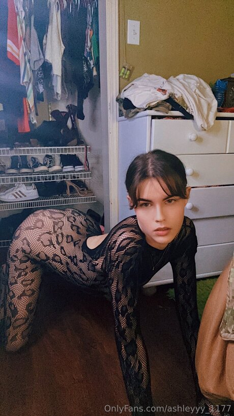 Ashleyyy 1177 exklusive porno galerien