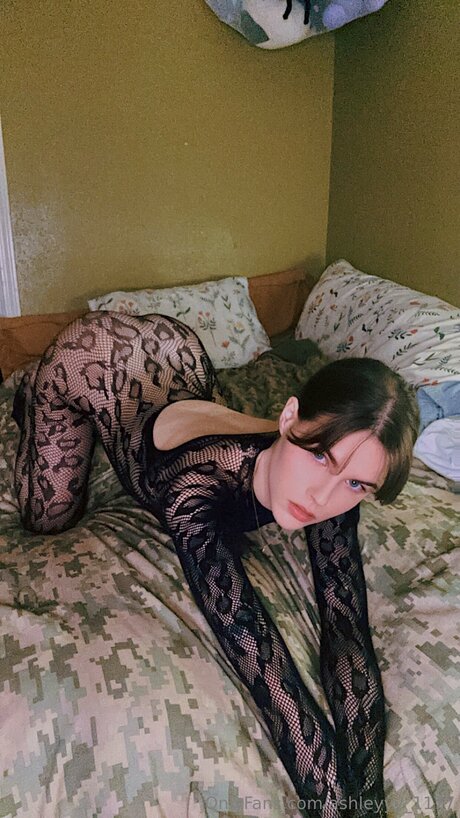 Ashleyyy 1177 perfekte hd galerien