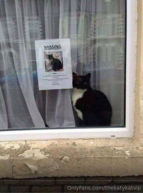 Thekatykatvip schauspielerin top galerie