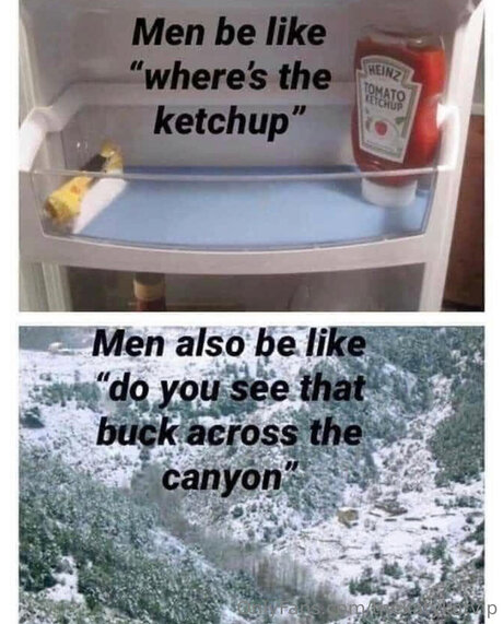 Thekatykatvip kostenlose erotische foto