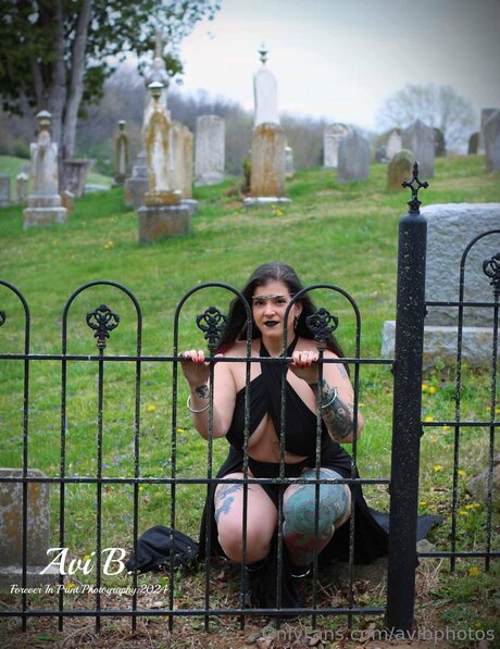 Avibphotos exklusive kostenlose foto