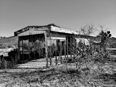 Cissaldansinferno top beste bild