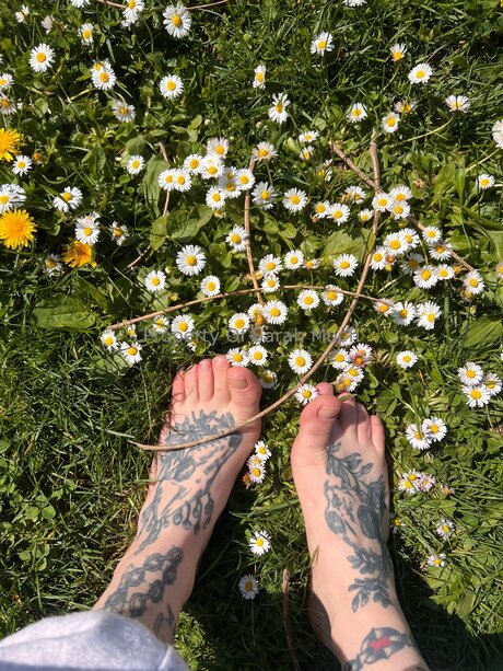 Sarahmoonsg perfekte galerien