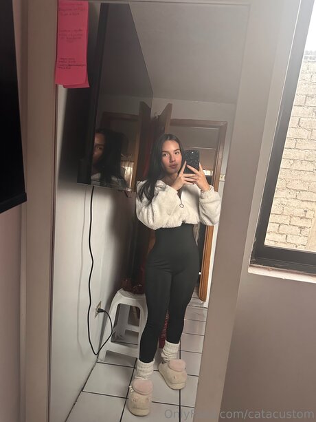 Catacustom perfekte bild