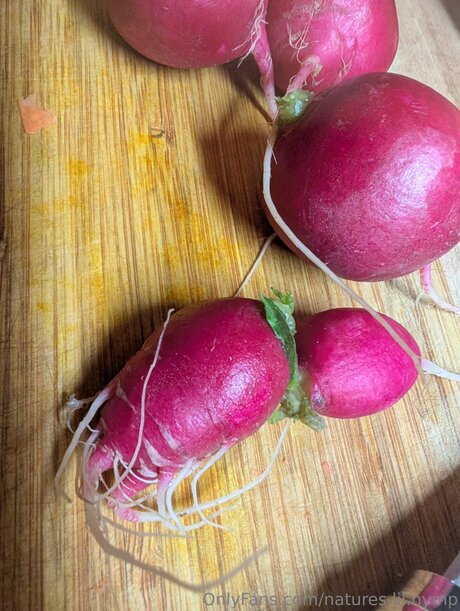 Natures Lil Nymp pornostar akt archiv