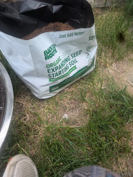 Natures Lil Nymp porno kunst galerie