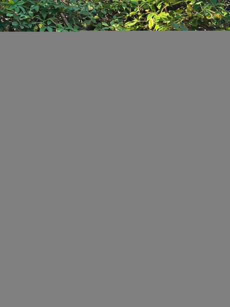 Livwa hübsche pornografische fotos