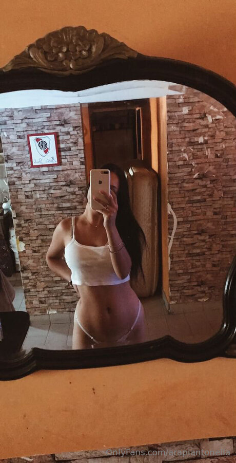 Arapiantonella schöne freie archiv